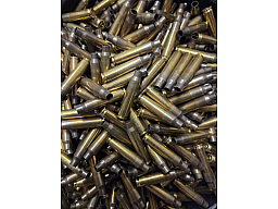 1000 Aguila Hülsen 223 rem aus 1 Los