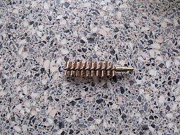 Bronzebürste .44 - .45