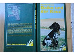 DAIKO UND DER KAUZ