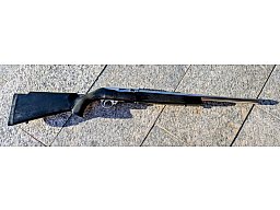 Ruger 10/22 Noris