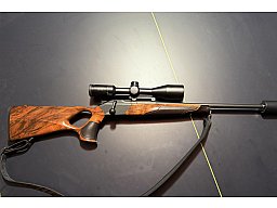 Blaser R8 Success Leder HK4 - 8x57 IS + .223 Rem - Leica Fortis 6