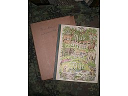 Antiquarisches Buch: altes Sammelbilderalbum - Aus Wald und Flur