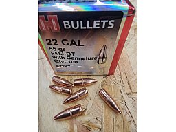 .22/.224/55grs. FMJ-BT Hornady Geschosse 100 stk #2267#