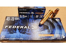 .45-70/300grs. Federal SPFP 20 Stk. No. 4570AS #