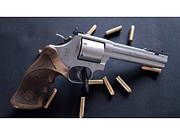 Smith&Wesson 686 Practical Champion