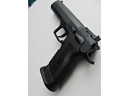 Tanfoglio Limited Custom P