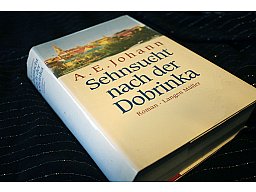 Sehnsucht nach der DOBRINKA - Eine Familiensaga aus Westpreußen A. E. Johann
