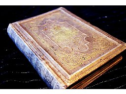 Amaranth - Oscar v. Redwik Buch aus 1874