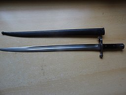 Bayonett Steyr--1886 mit Scheide
