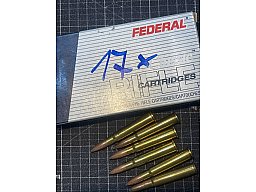 .303 Federal Jagdmunition .180 gr. High Shock