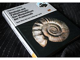 Geologie und Paläontologie: Das Mesozoikum der Frankenalb - Vom Ries bis Coburger Land A. E. Richter
