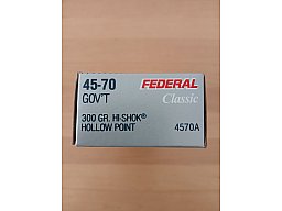 45-70 Goverment