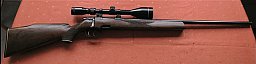 Steyr Mannlicher, Modell SL, .222 Rem., ZF Tasko 2,5-10x50, Abs. 1, Steyr-Schwenkmontage