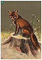 1 Stück - DJV Scheibe Nr. 3 FUCHS sitzend nach LINKS 86x122cm | 50m / 100m BJV/DJV Schießnadeln ...