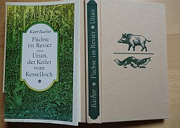 URIAN DER KEILER VOM KESSELLOCH - FÜCHSE IM REVIER