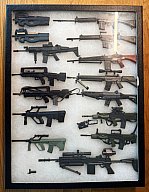Große 1:6 Waffen-Sammlervitrine – FAMAS, Steyr AUG, FN P90, SIG, Minimi u.a. – ca. 15 Modelle
