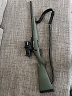 Ruger American Predator .308