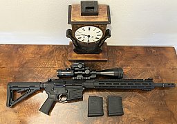 AR-10 SAVAGE MSR 10 HUNTER (.308 Win/7,62x51 NATO) inklusive DD-Zielfernrohr und Rotpunkvisier