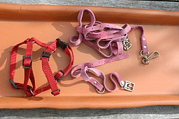 Für kleinen Hund Geschirr Halsband und Leine