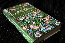 IRISCHER ZAUBERGARTEN - Märchen Sagen und Geschichten von der grünen Insel Friedrich Hetmann