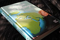 Weltretten für Anfänger - Susanne Fröhlich
