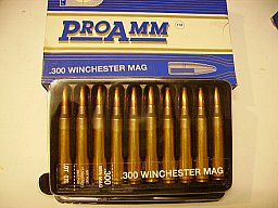 20 Stck .300Win Mag Patronen