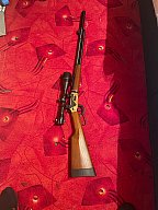 Walther Leveraction