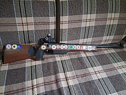 Zimmerstutzen Anschütz inkl Munition
