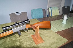 Anschütz halbautomatische Schußwaffe