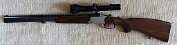 Blaser BBF ES67 in 5,6x50R Mag. u. 12/70 m. Zeiss Diavari VM 2,5-10x50