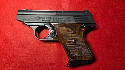 Röhm RG 8