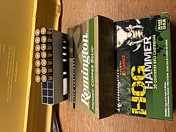 30-06 Jagdmunition Konvolut 76 Schuss u.a. Norma, Remington