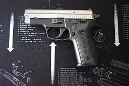 SIG Sauer P 229 9 mm Luger