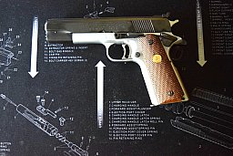 Colt Gold Cup System Breuers 45 Auto