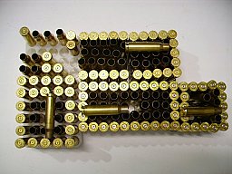 Hülsen ..308 WIN