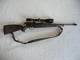 Steyr Luxus