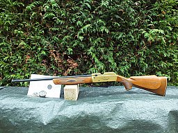 L7uftgewehr Daisy Powerline 880