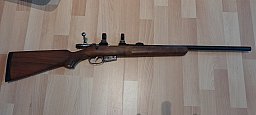 CZ ZKW 22 Hornet Match