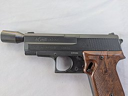 Röhm RG300