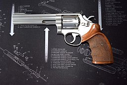 Smith & Wesson Mod 717-1 22 Target Champion