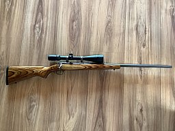 Ruger .22 Hornet