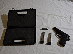 IWG Mod. PP Cal. .315 Knall