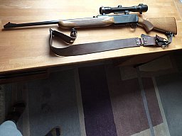 FN (Browning) SlB, Pard Nachtsicht