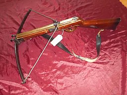 TOP Armbrust Schützenfest Bolzenarmbrust Historisches Adlerschießen TOP