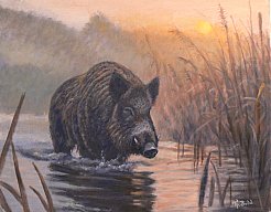 Jagdgemälde "KEILER" - Tier-und Jagdmaler - Thomas Bold