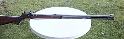 Steinschloßgewehr