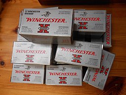 Winchester .22 win Mag