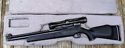 Norconia P1 mit ZF