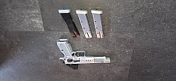 Tanfoglio 1911 6 Zoll Goldmatch