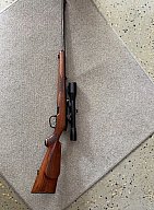 Steyr Mannlicher Model SL.222